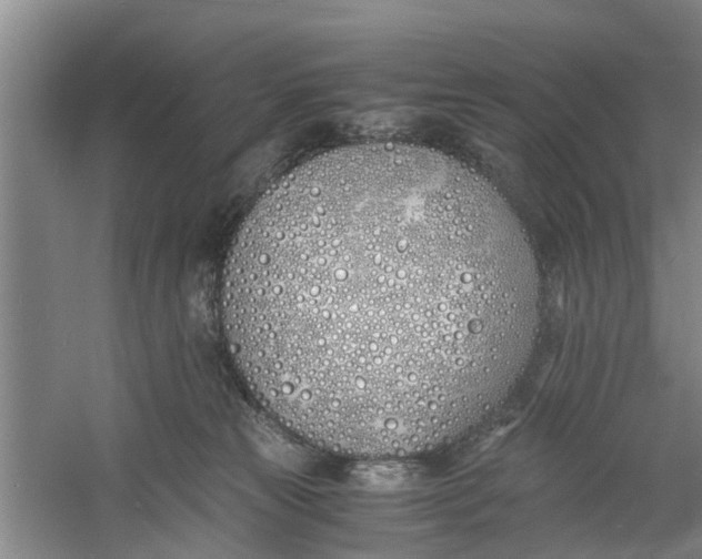 X0000060770181200512011621