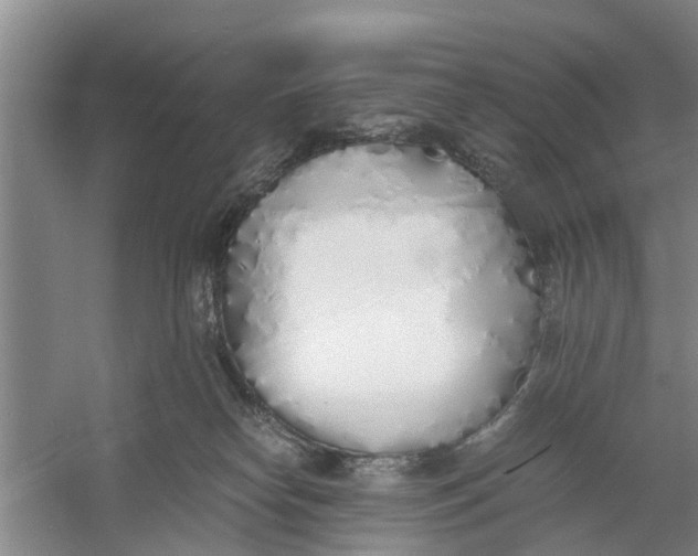 X0000060770182200512011622