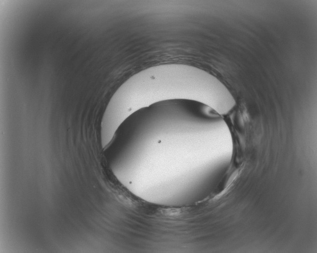 X0000060770187200512011622