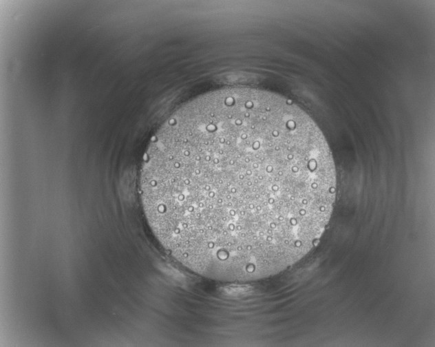 X0000060770189200512011622