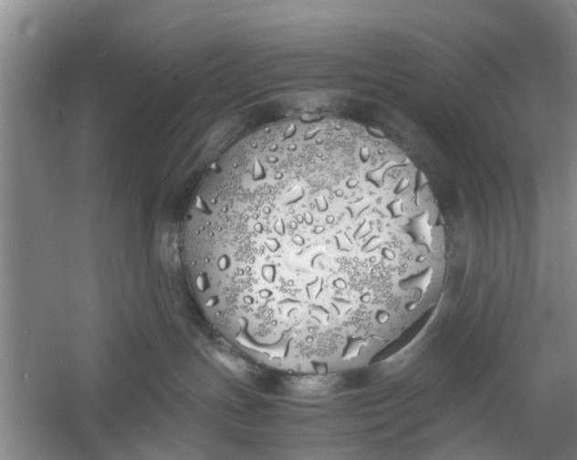 X0000060770191200512011622