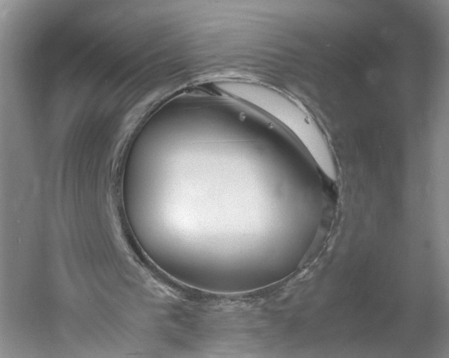 X0000060770193200512011621