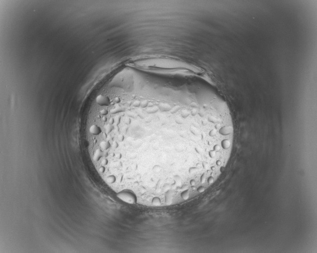 X0000060770194200512011621