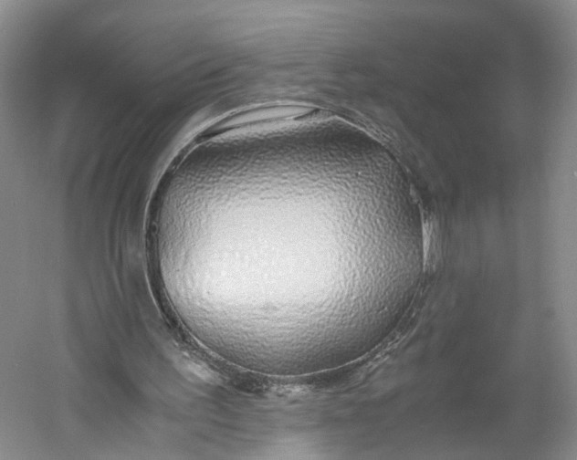 X0000060770195200512011621