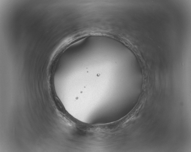 X0000060770197200512011621