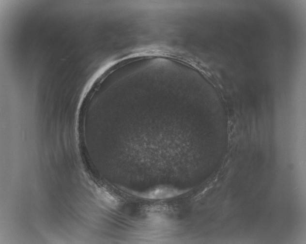 X0000060770200200512011621