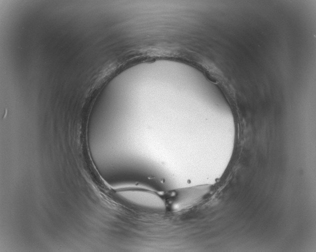 X0000060770201200512011621