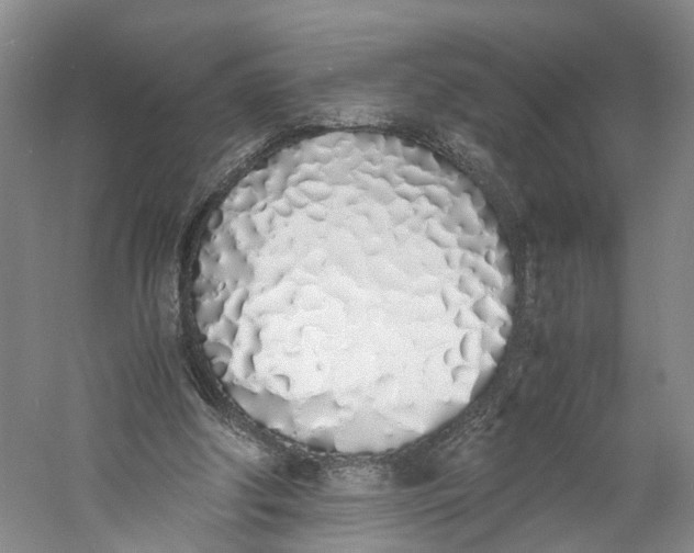 X0000060770202200512011621