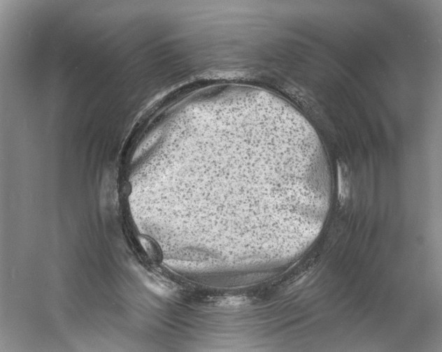 X0000060770204200512011621