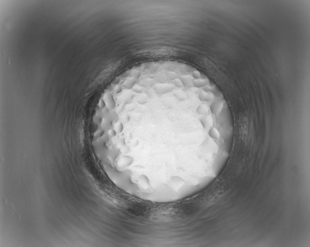 X0000060770206200512011621