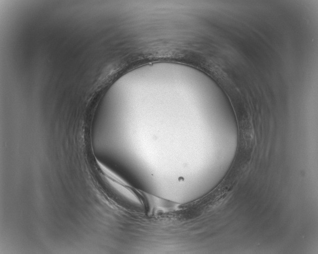 X0000060770207200512011621