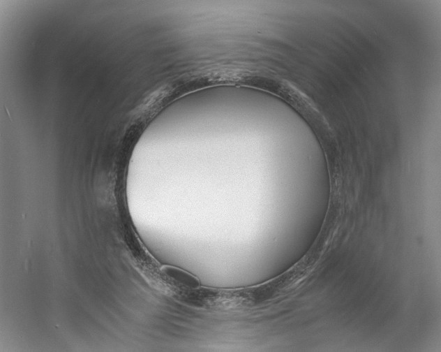 X0000060770209200512011621