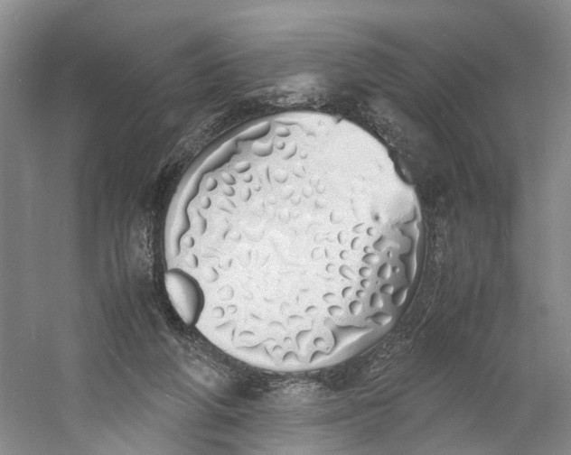 X0000060770210200512011621