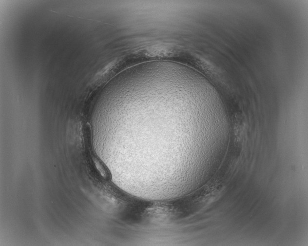 X0000060770211200512011621