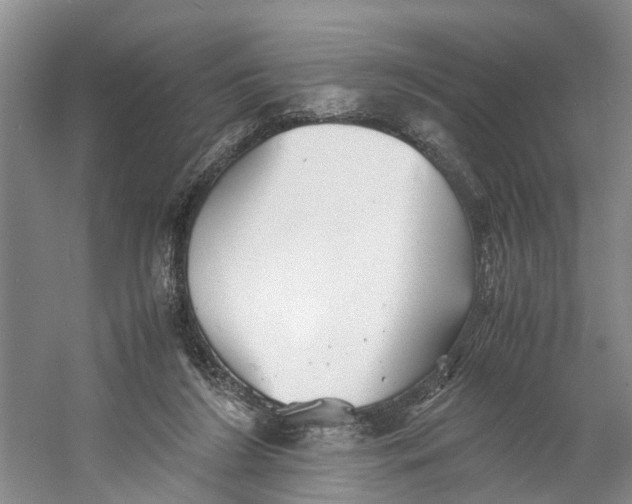 X0000060770212200512011621