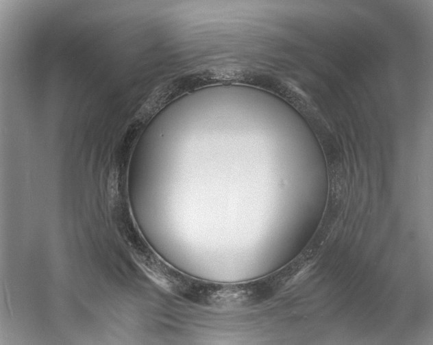 X0000060770213200512011620