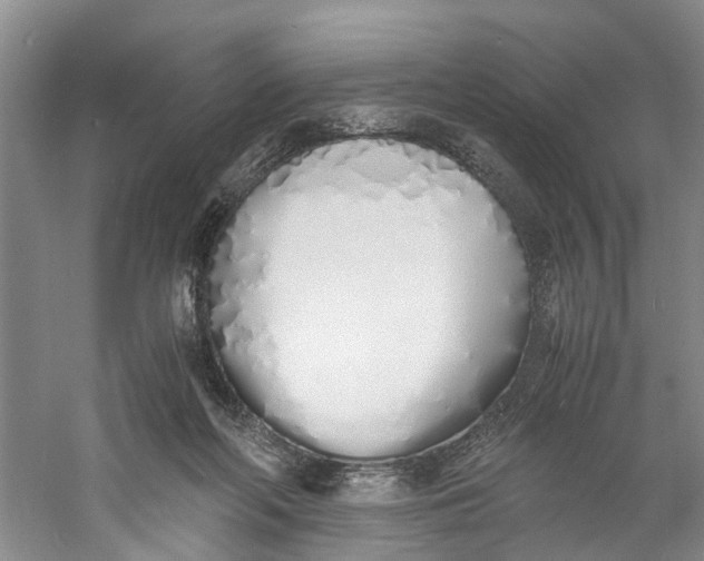 X0000060770214200512011620