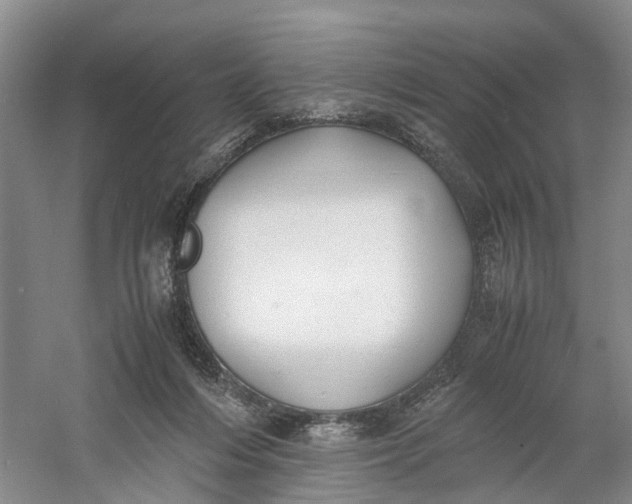 X0000060770216200512011620