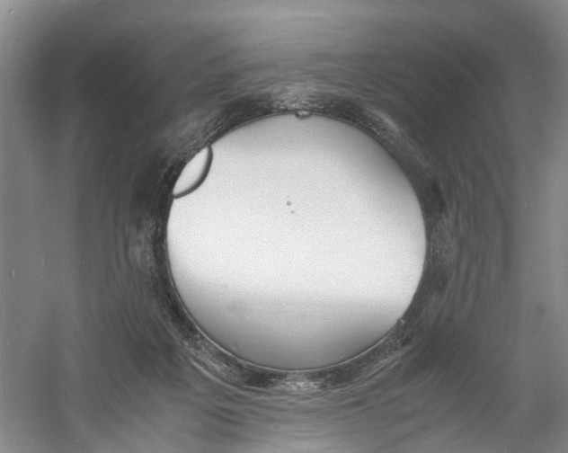 X0000060770217200512011620