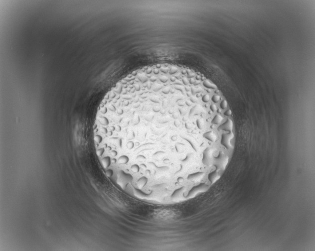 X0000060770218200512011620