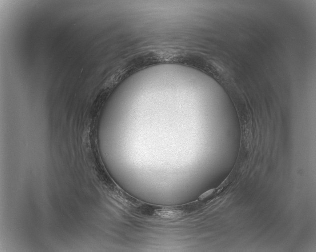 X0000060770221200512011620