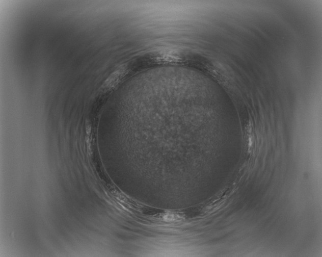 X0000060770223200512011620