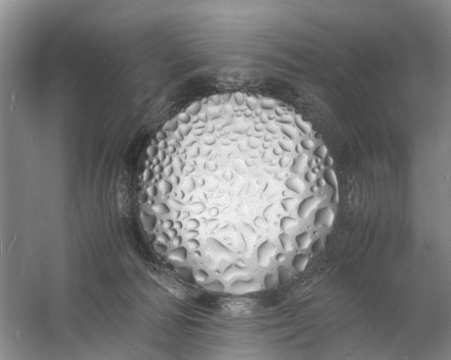 X0000060770226200512011620