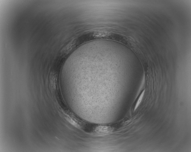 X0000060770227200512011620