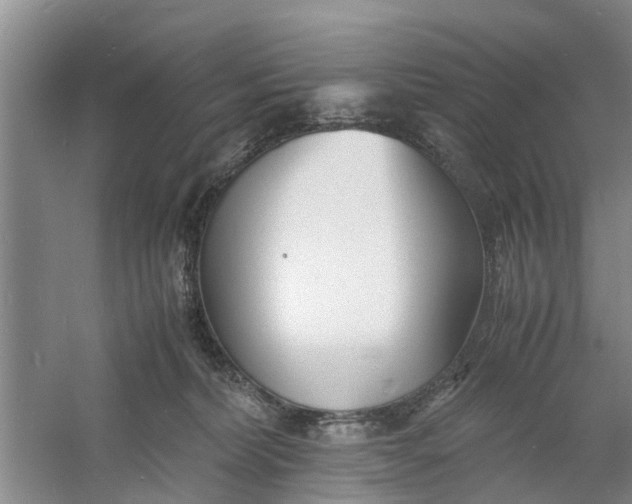 X0000060770228200512011620