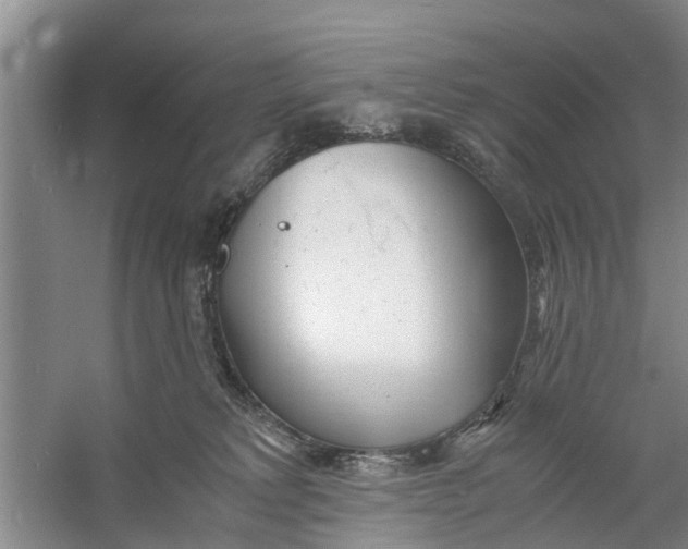 X0000060770229200512011620