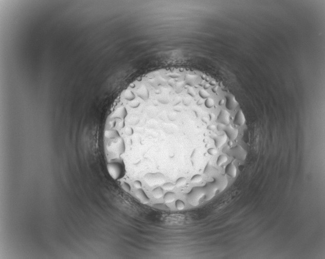 X0000060770230200512011620