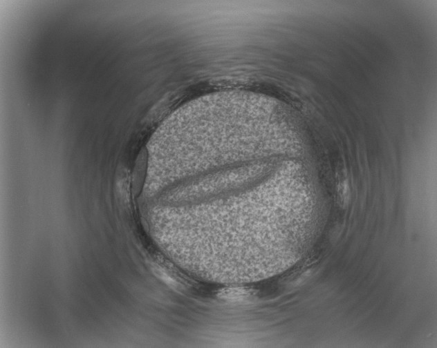 X0000060770231200512011620