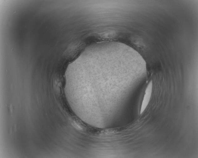 X0000060770235200512011620