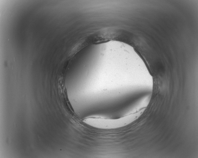 X0000060770237200512011620