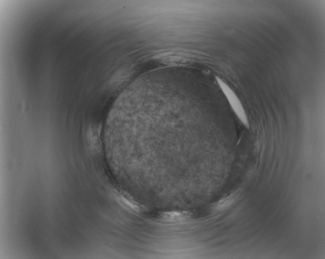 X0000060770239200512011620