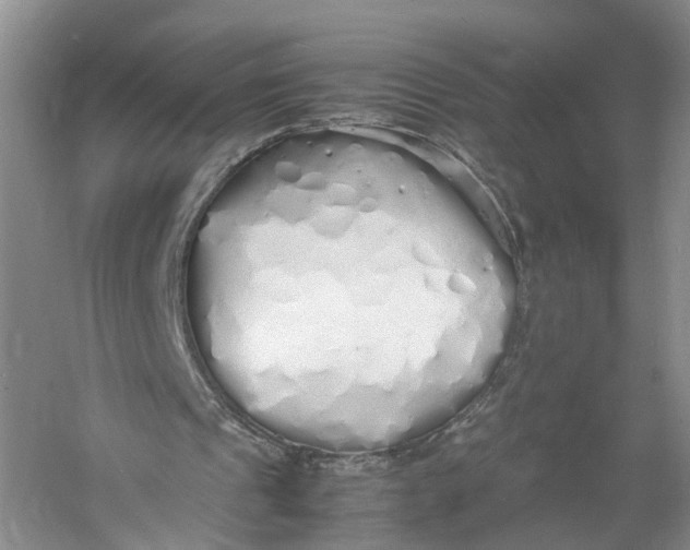 X0000060770241200512011619