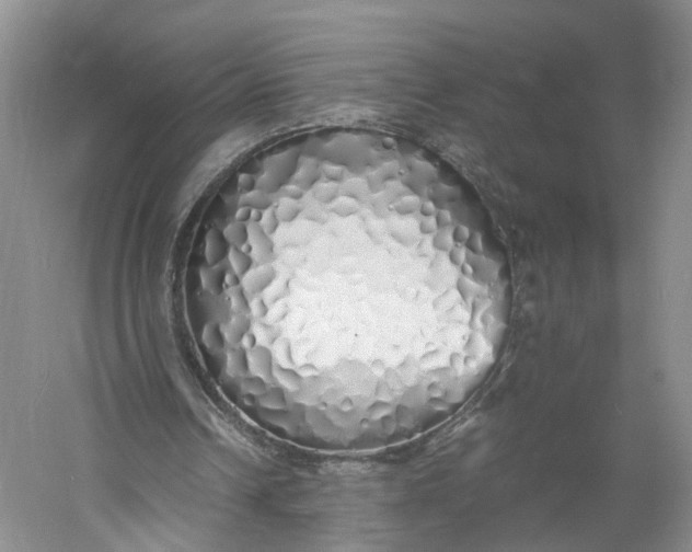 X0000060770242200512011619