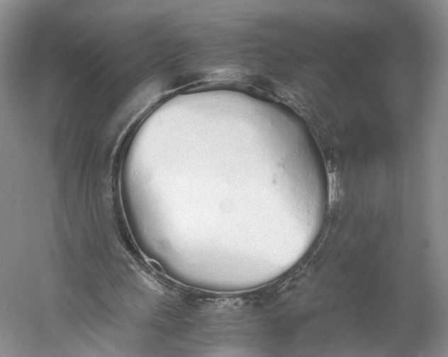 X0000060770243200512011619