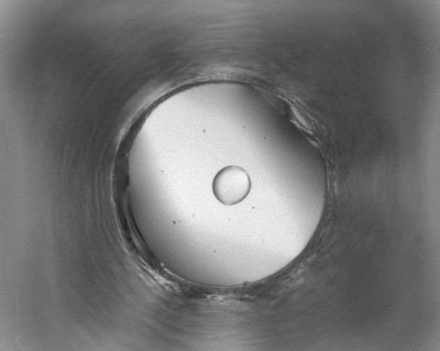 X0000060770244200512011619