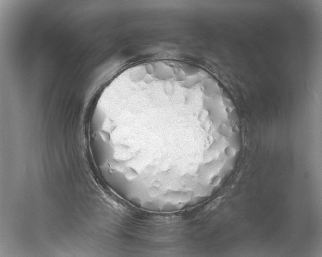 X0000060770245200512011619