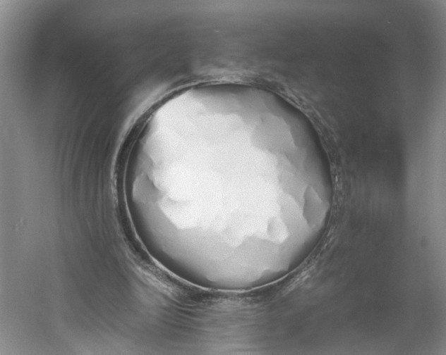 X0000060770246200512011619