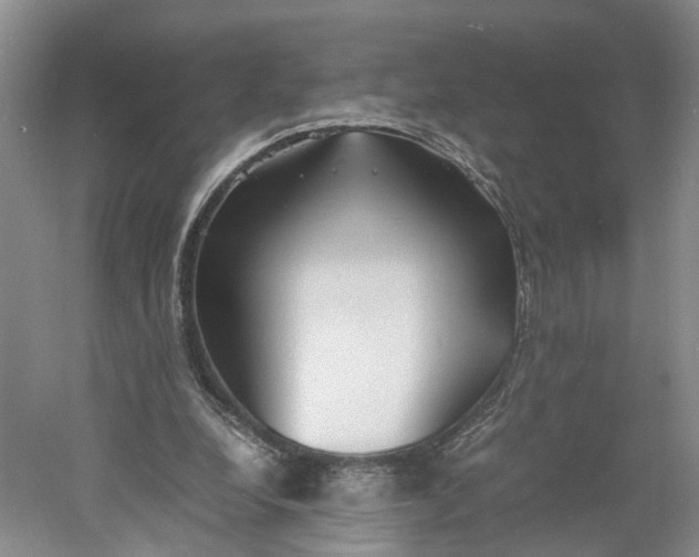 X0000060770248200512011619