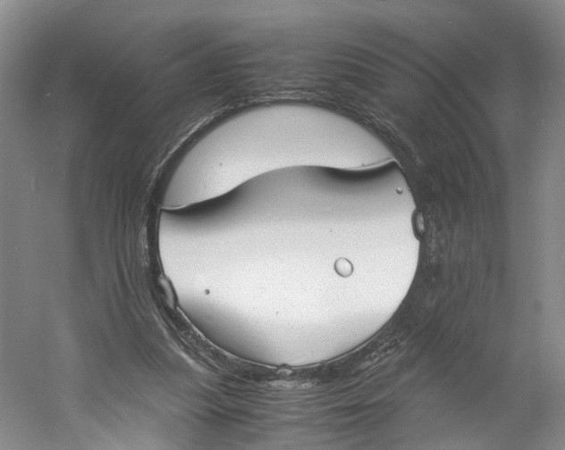 X0000060770251200512011619