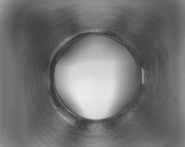 X0000060770252200512011619