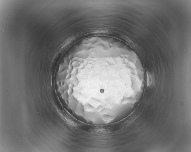 X0000060770253200512011619