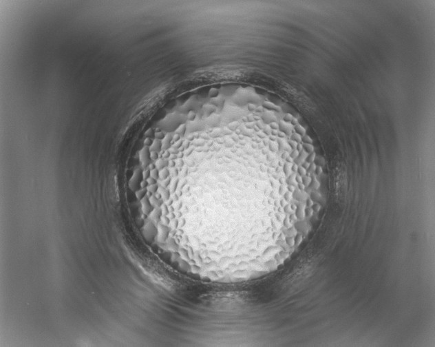 X0000060770254200512011619