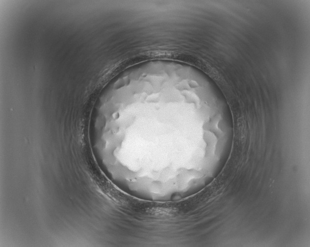 X0000060770255200512011619