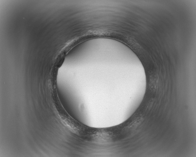 X0000060770256200512011619