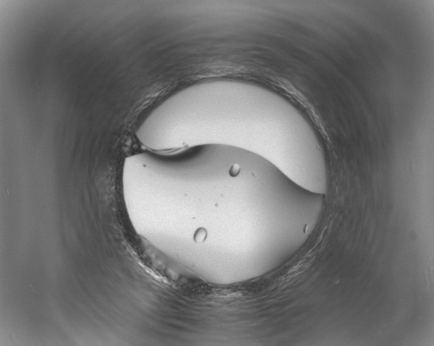 X0000060770257200512011619