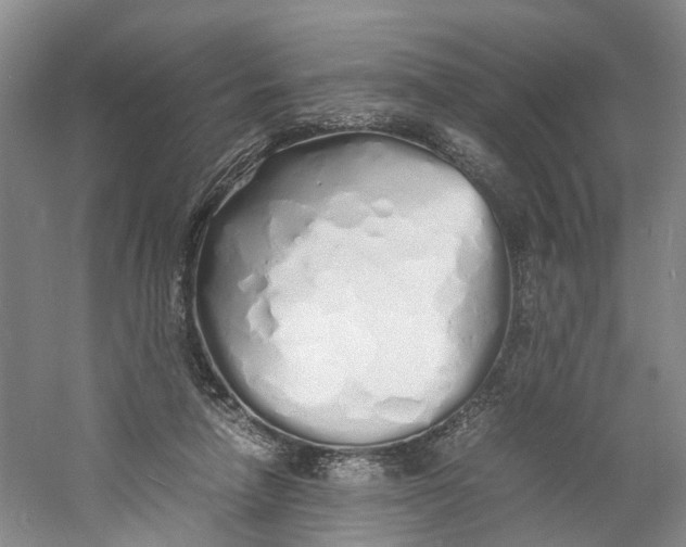 X0000060770258200512011619